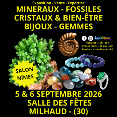Salon Minéraux Fossiles Bijoux de Nîmes