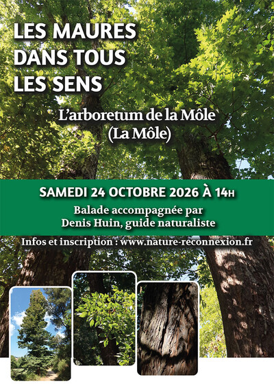 Balade nature, l'arboretum de la Mole
