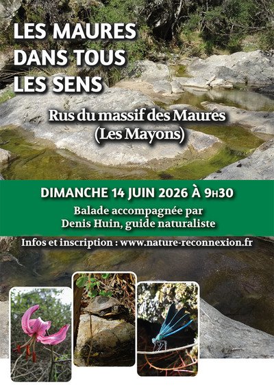 Balade nature : rus du massif des Maures