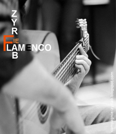 Compagnie Zyriab - Cours de guitare Flamenco
