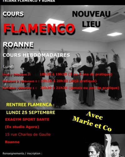 FLAMENCO ROANNE  - COURS DE DANSE 