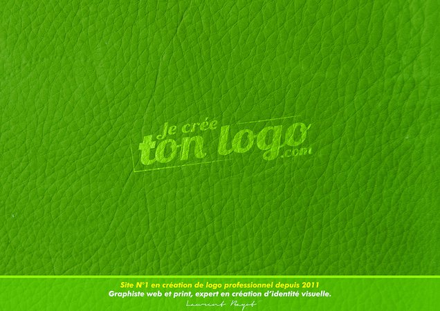Laurent Bayot  - Graphiste spécialisé en création de logo professionnel