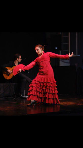 Azafran Flamenco  - Danse & Musique 