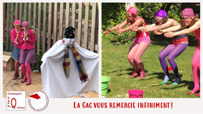 Compagnie A Vol d'Oiseau - Les voyages désorganisés de la Clown Airlines Company