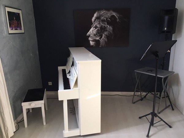 Ecole Denis Raphaël - Cours de Chant / Piano