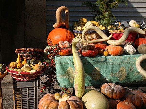Fête et Randonnée de la Courge
