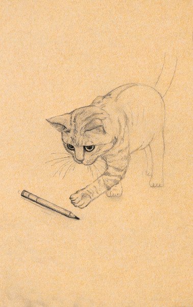 La Dessinerie - Cours de dessin ados/adultes