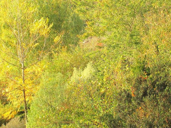 Parc floral et animalier Oihanartea