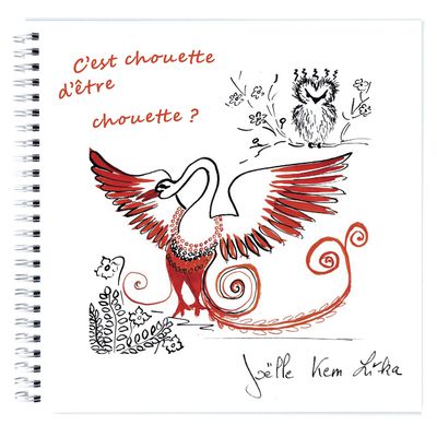 "C'est chouette d'être chouette ?" le nouveau livre avec CD de Joëlle Kem Lika