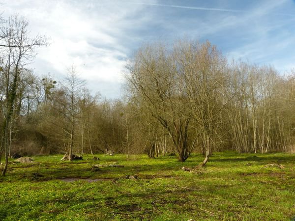 L'Etang de l'Isle