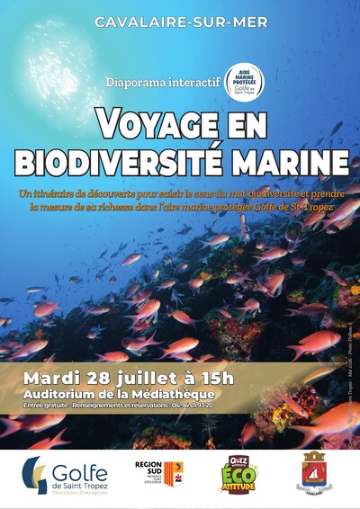 Voyage en biodiversité marine