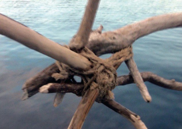 CIEL, RUISSEAU, RACINES