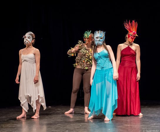 Concours d'entrée en Formation Danseur ou Comédie Musicale