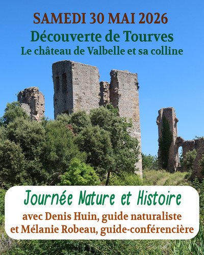 Le château de Vabelle et sa colline