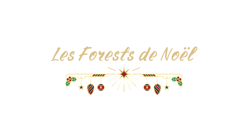NAKAMA - Music & Friends - Les Forests de Noël