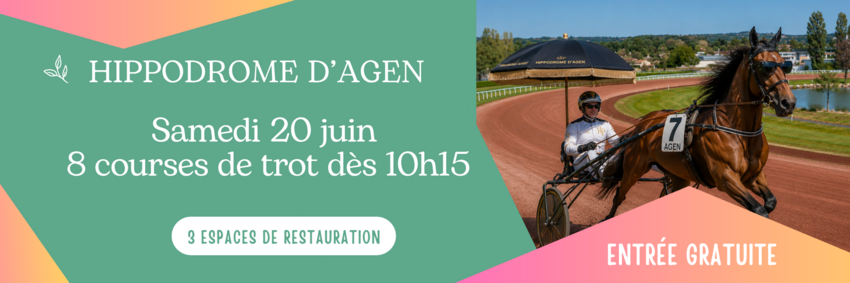 Spectacle de courses hippiques
