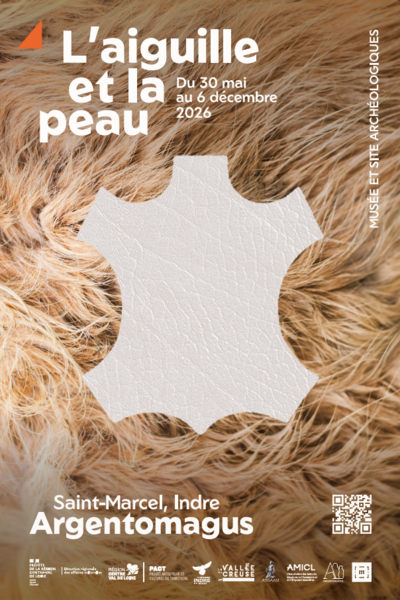 L'aiguille et la peau