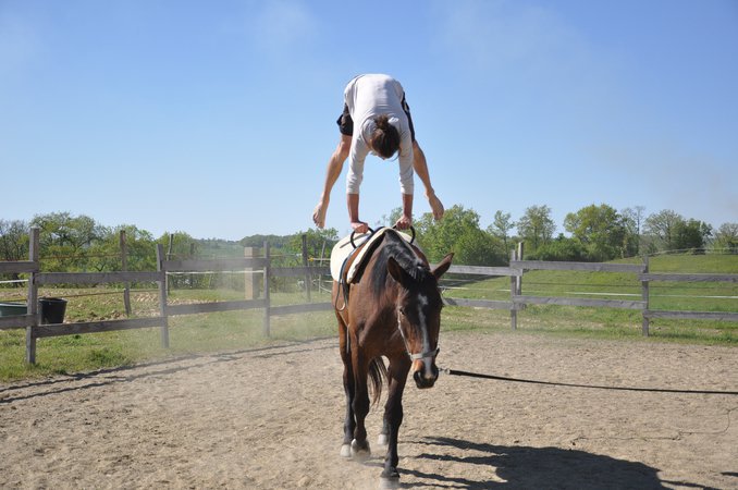 CHEVAL MAGIQUE - théâtre équestre etr équitation en liberté