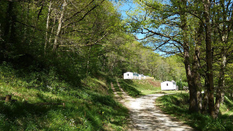 le Masnaut