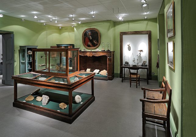 Les Salons du Collège du Puy / Le Musée d'histoire