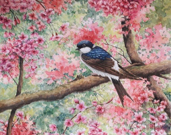 L'atelier de Clarisse - Cours de dessin/peinture
