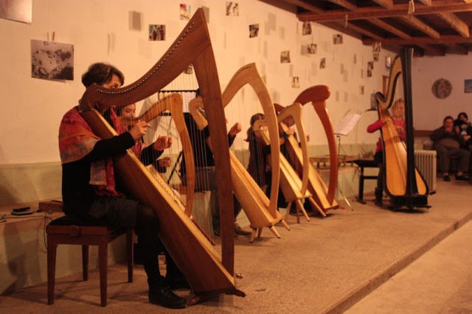 L'Oiseau-Lyre - cours de harpe, traverso