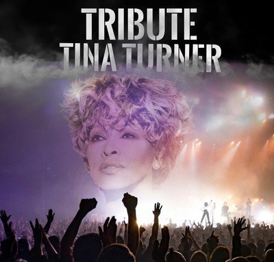 Tribute Tina Turner 