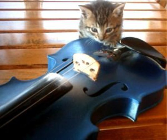 Le violon bleu - Initiation au violon sans solfège.