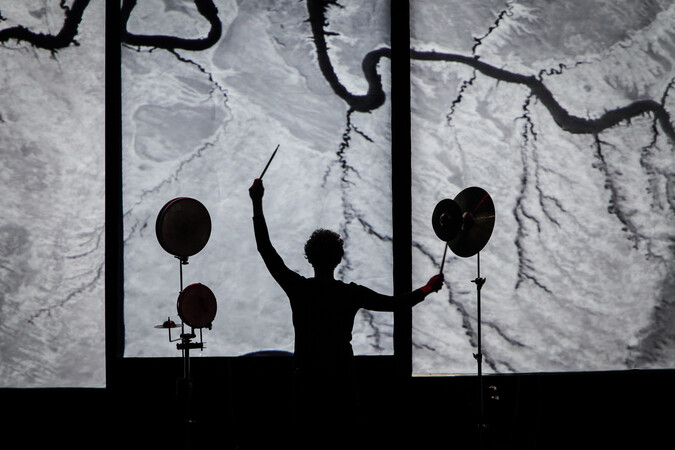 Spectacle déambulatoire · Nuit cosmique