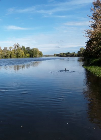 Bateau/ėcolodge sur la Loire
