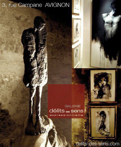 Galerie d'art Délits des Sens - Avignon