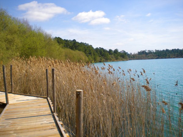 Plage du lac d'Arjuzanx