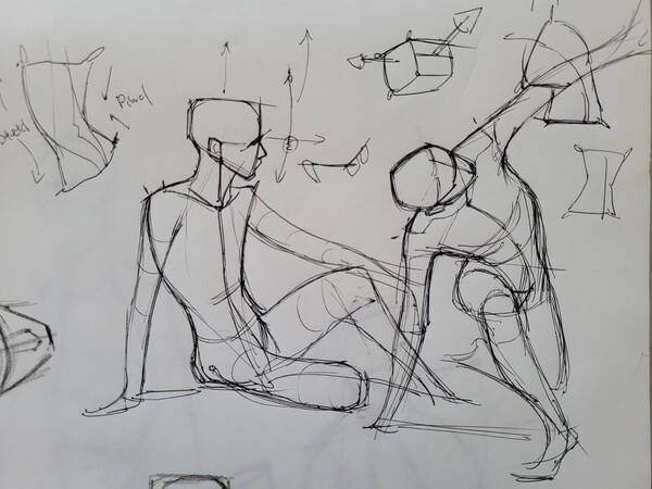Stage de dessin du corps humain au Louvre