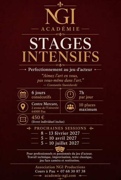 Académie NGI - Stage de théâtre