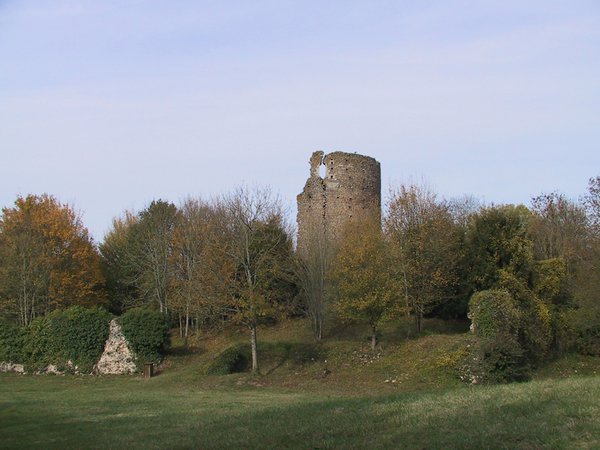 Château féodal de Fréteval