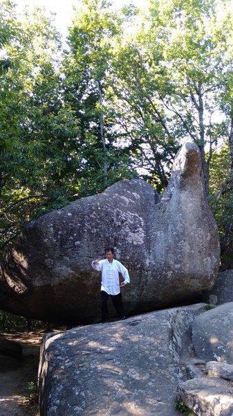 chi gong - qi gong - cours et stage de chi gong