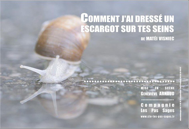 Compagnie Les Pas Sages - comment j'ai dressé un escargot sur tes seins