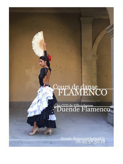 Flamenco Danse - Cours de Danse Flamenco et Guitare Flamenco
