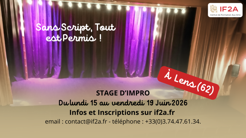 Stage Impro - Sans Script Tout est Permis