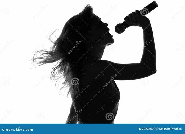Cherche chanteuse variété française et internationale