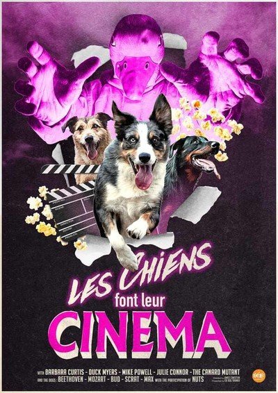 Compagnie Dog Trainer - Les Chiens font leur Cinéma