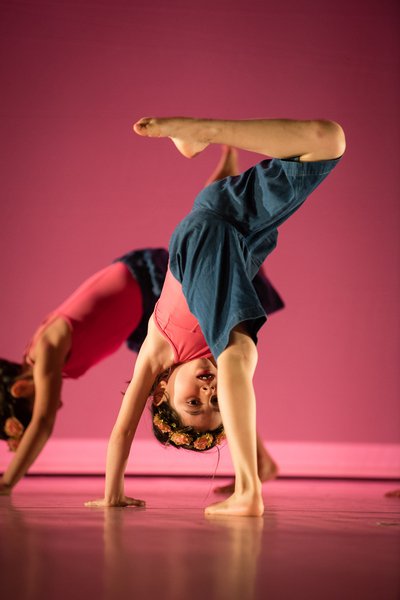 Danse entre cour et jardin - danse contemporaine