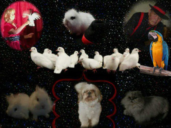 Rey-Vivoll & Ly-Anne Magiciens - Le Magicien et l'enfant