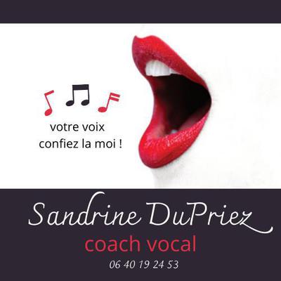 sandrine dupriez - coach vocal/professeur de chant 