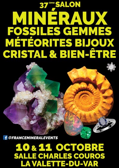 37ème Salon des Minéraux