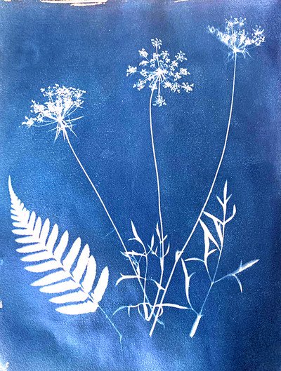 Ateliers "Cyanotype" et "Photogramme argentique