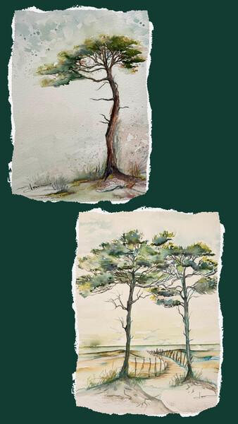 Dominique Massini  - Cours Aquarelle, peinture 