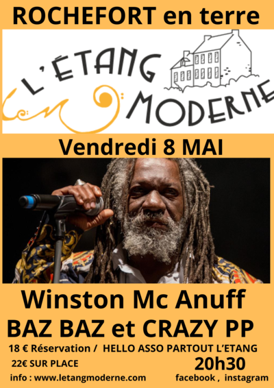 WINSTON MC ANUFF & BAZ BAZ et CRAZY PP / REGGAE DUB