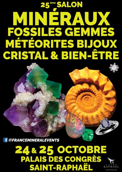 25ème Salon des Minéraux