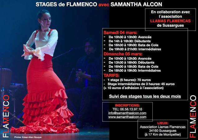 Flamenco intensif
